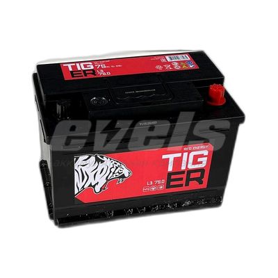 TIGER Red Energy 75.0 (L3 PS) евро — основное фото