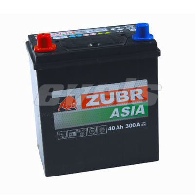 ZUBR Premium Азия  6ст-40 L+ B19 — основное фото